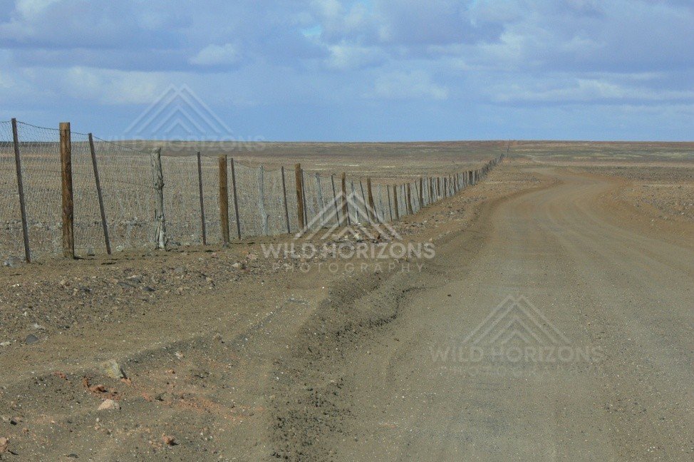 The Dog Fence stretches across the empty gibber plains beside a red dirt road. Dog Fence/Stuart Highway, Australia.