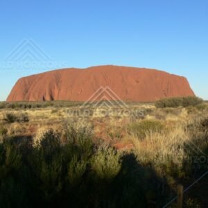 Evening light casting long shadows across spinifex toward the western face of Uluru. Uluru–Kata Tjuta National Park, Australia.