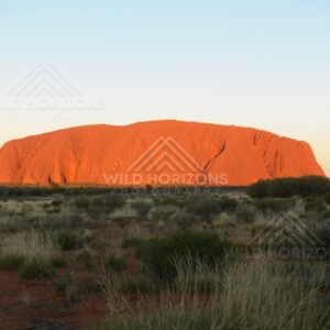 Rich red sunset light flooding the western end of Uluru beneath clear skies. Uluru–Kata Tjuta National Park, Australia.