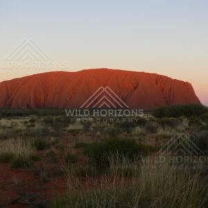Twilight hues of pink and mauve above the darkening form of Uluru. Uluru–Kata Tjuta National Park, Australia.