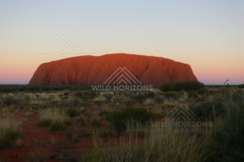 Twilight hues of pink and mauve above the darkening form of Uluru. Uluru–Kata Tjuta National Park, Australia.