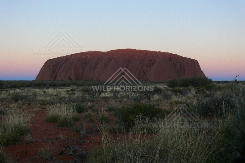Final light fading behind Uluru with cool evening tones over the plains. Uluru–Kata Tjuta National Park, Australia.