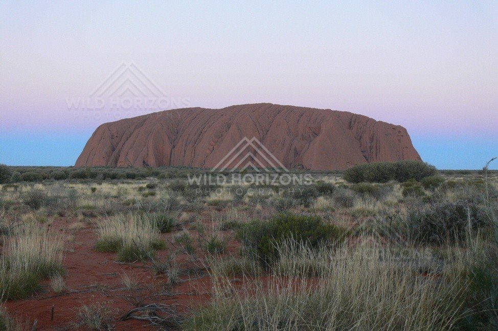 Sunset light glowing across the sandstone face of Uluru in the central desert landscape. Uluru–Kata Tjuta National Park, Australia.
