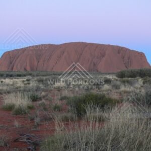 Uluru glowing deep red beneath a clear desert sky at sunset. Uluru–Kata Tjuta National Park, Australia.