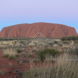 Changing sunset colours across the western face of Uluru. Uluru–Kata Tjuta National Park, Australia.