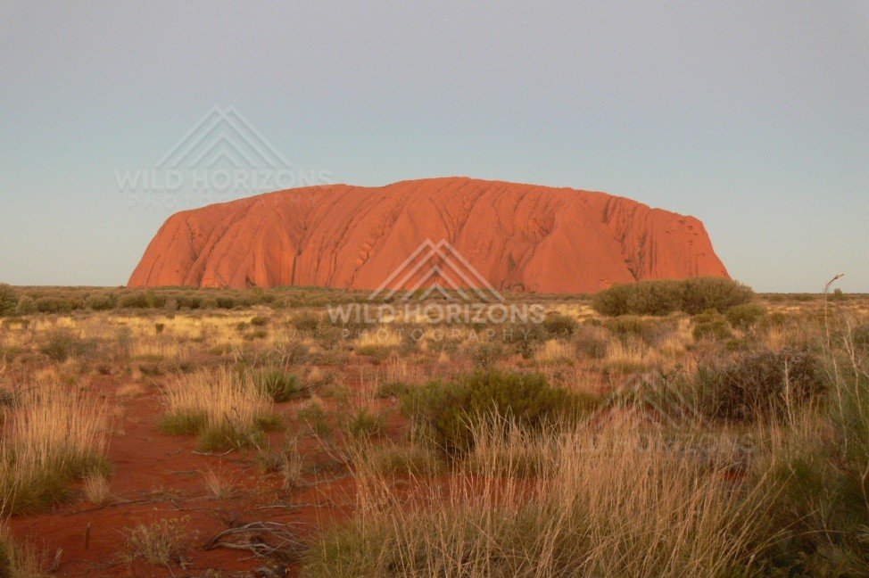 Final sunlight touching the crest of Uluru at day’s end. Uluru–Kata Tjuta National Park, Australia.
