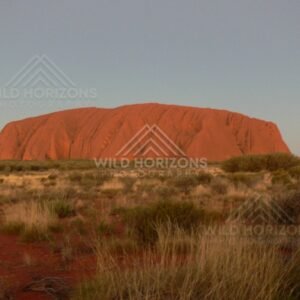 Broad profile of Uluru above red desert soil at dusk. Uluru–Kata Tjuta National Park, Australia.