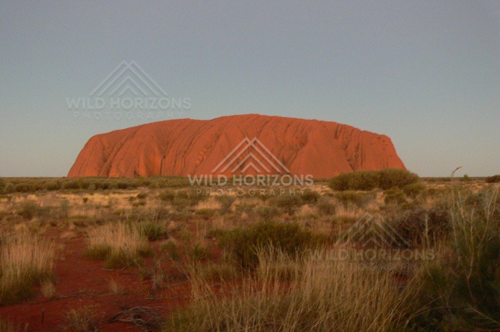 Broad profile of Uluru above red desert soil at dusk. Uluru–Kata Tjuta National Park, Australia.
