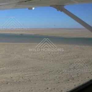 Turquoise channel winding through dunes near the Lake Eyre floodplain. Lake Eyre Basin, Australia.