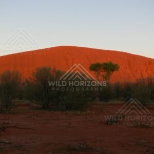Last warm light on the eastern shoulder of Uluru. Uluru–Kata Tjuta National Park, Australia.