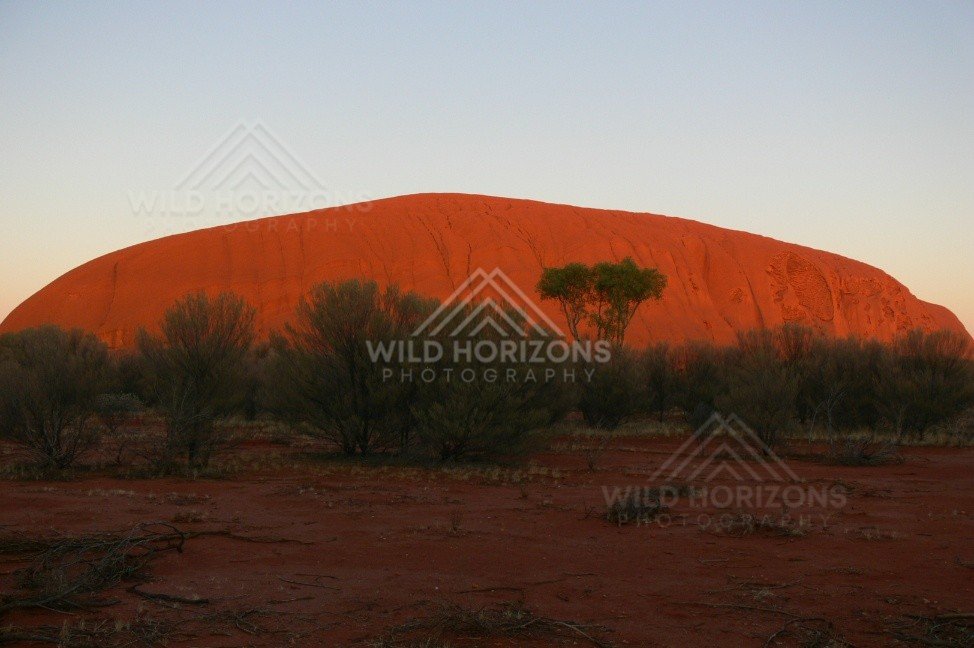 Last warm light on the eastern shoulder of Uluru. Uluru–Kata Tjuta National Park, Australia.