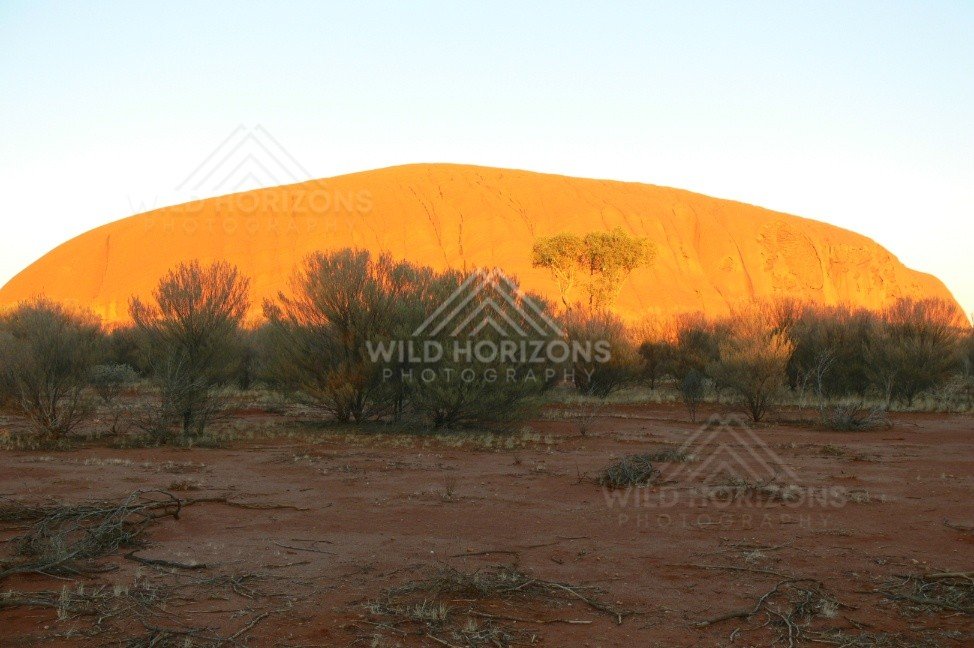 Golden sunrise light sweeping across the face of Uluru. Uluru–Kata Tjuta National Park, Australia.