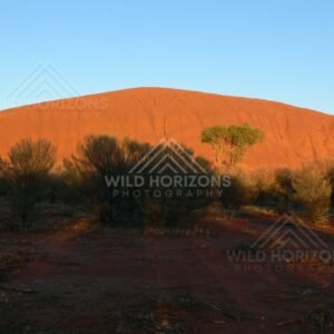 Sunlit crest of Uluru above shadowed desert plains. Uluru–Kata Tjuta National Park, Australia.