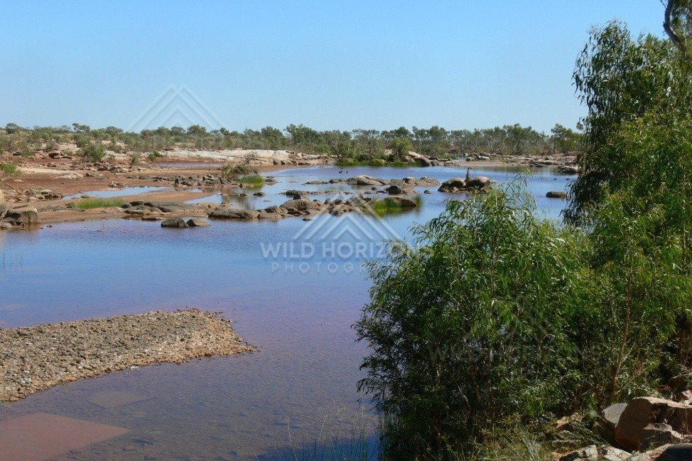 Cooper Creek flowing through Channel Country wetlands. Cooper Creek, Australia.