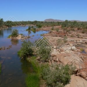 Outback river channel winding through red stony plains with scattered river gums. Central Australian interior, Australia.