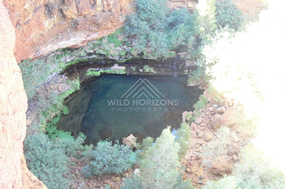 Permanent desert waterhole surrounded by steep sandstone walls and cycads. Central ranges region, Australia.