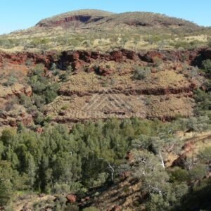 Layered sandstone domes glowing in afternoon light above the Kings Canyon rim walk. Watarrka National Park, Australia.