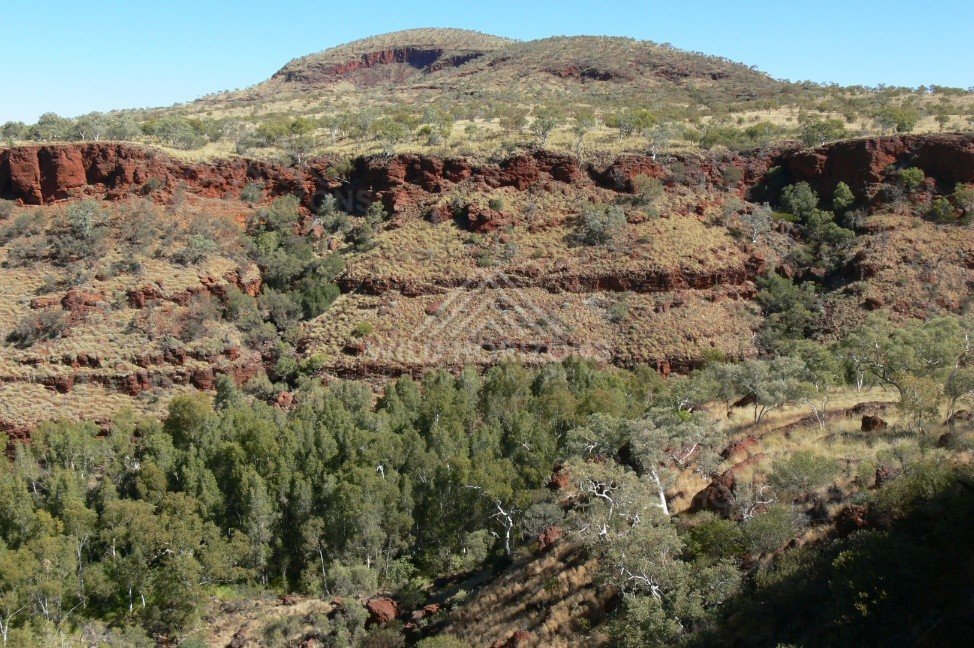 Layered sandstone domes glowing in afternoon light above the Kings Canyon rim walk. Watarrka National Park, Australia.