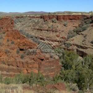 Kings Creek winding through a narrow gorge lined with river gums and cycads. Watarrka National Park, Australia.