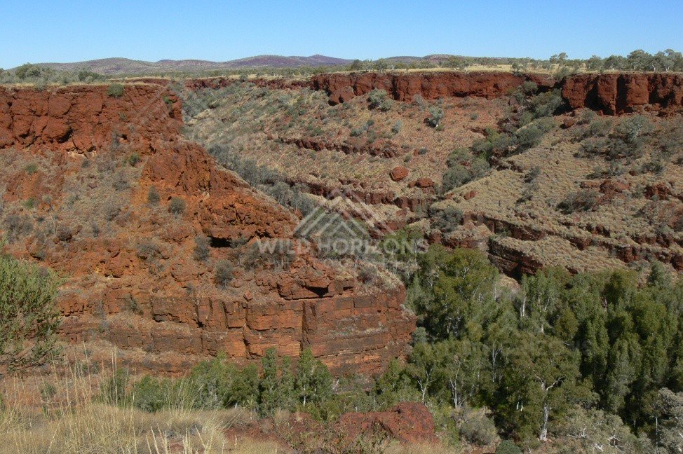 Kings Creek winding through a narrow gorge lined with river gums and cycads. Watarrka National Park, Australia.