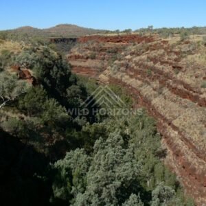 Evening light on the sheer sandstone walls of Kings Canyon gorge. Watarrka National Park, Australia.