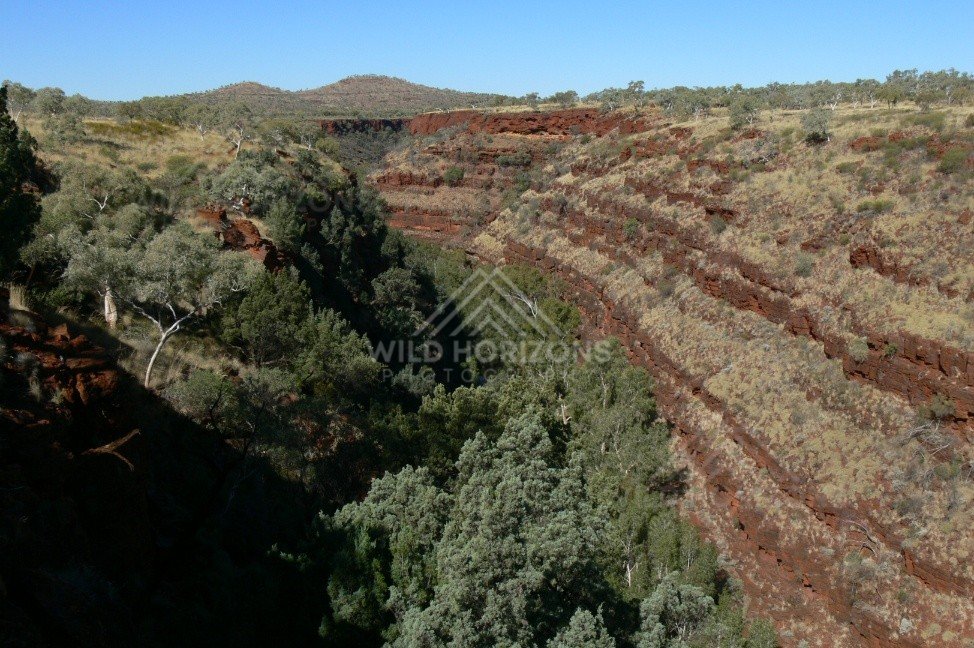 Evening light on the sheer sandstone walls of Kings Canyon gorge. Watarrka National Park, Australia.