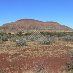 Broad view of a solitary mesa rising above red soil plains with low desert scrub. Central Australian ranges, Australia.
