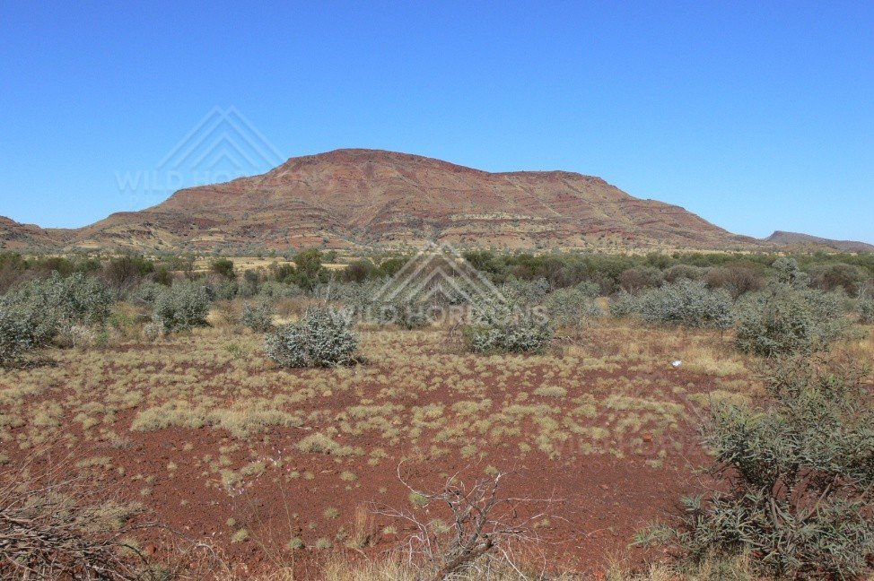 Broad view of a solitary mesa rising above red soil plains with low desert scrub. Central Australian ranges, Australia.