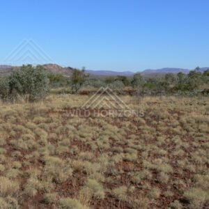 Spinifex grassland and acacia scrub stretching toward distant sandstone hills. Central Australia, Australia.