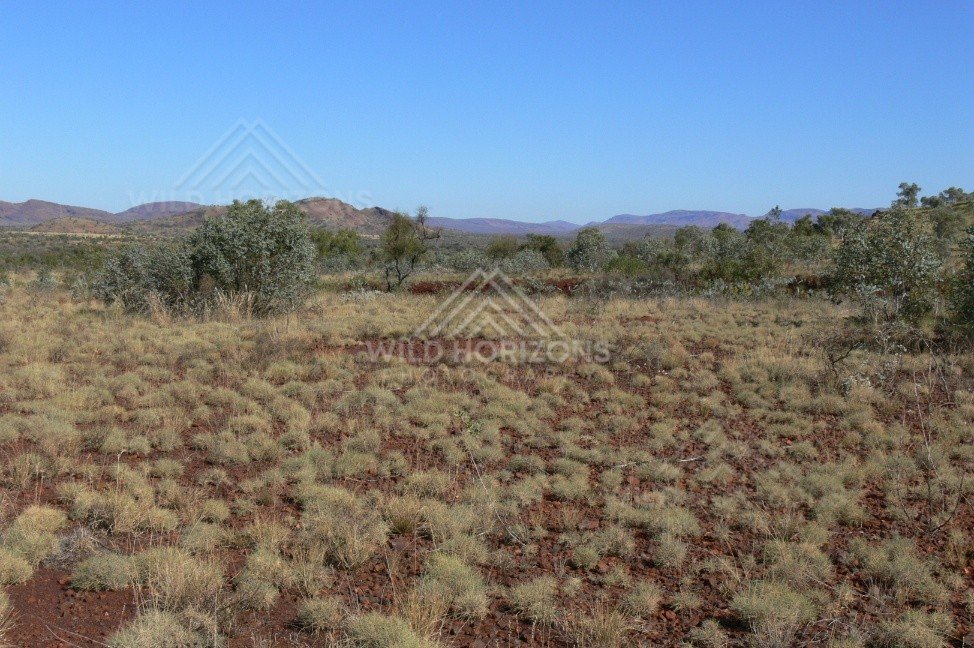 Spinifex grassland and acacia scrub stretching toward distant sandstone hills. Central Australia, Australia.