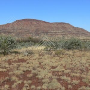 Close view of a red sandstone ridge above mulga and desert shrubs. Central Australia, Australia.