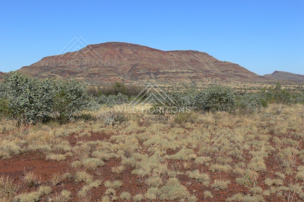 Close view of a red sandstone ridge above mulga and desert shrubs. Central Australia, Australia.