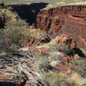 Eroded channel and river gums in Karijini gorge country. Pilbara, Australia.