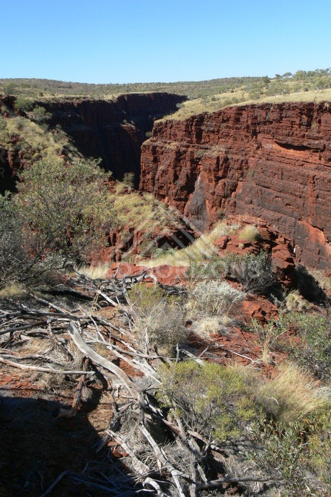 Eroded channel and river gums in Karijini gorge country. Pilbara, Australia.