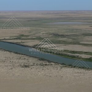 Channel Country river winding through desert floodplains. Cooper Creek Region, Australia.