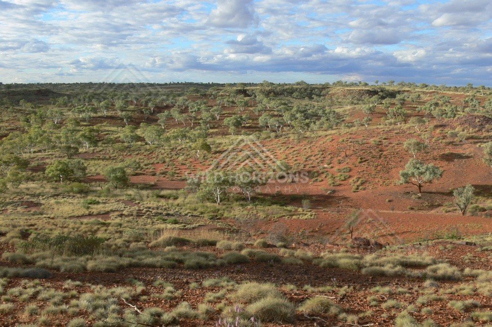 Eroded mesa country along the Great Central Road. Western Australia, Australia.