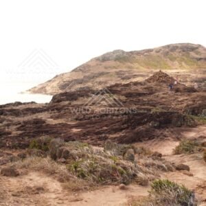 Rocky Path Across a Windswept Headland with Visitors Near the Coast. Cape York, Australia.