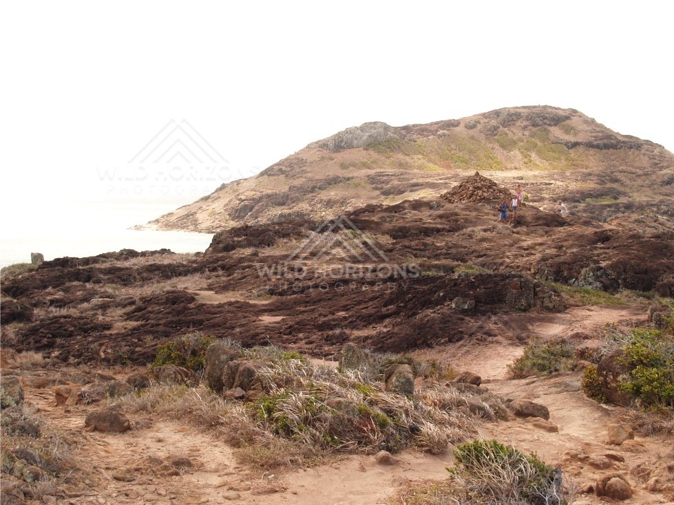 Rocky Path Across a Windswept Headland with Visitors Near the Coast. Cape York, Australia.