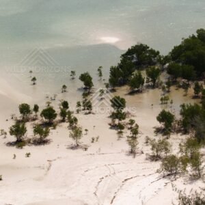 White sand spit with mangrove trees and shallow lagoon. Cape York, Queensland, Australia.
