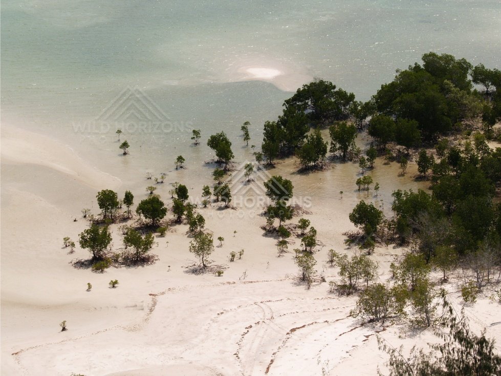 White sand spit with mangrove trees and shallow lagoon. Cape York, Queensland, Australia.