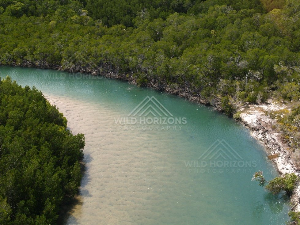 Tidal channel with green mangroves on both banks. Cape York, Queensland, Australia.
