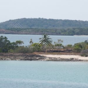 Tropical shoreline with palms and calm water. Cape York, Queensland, Australia.
