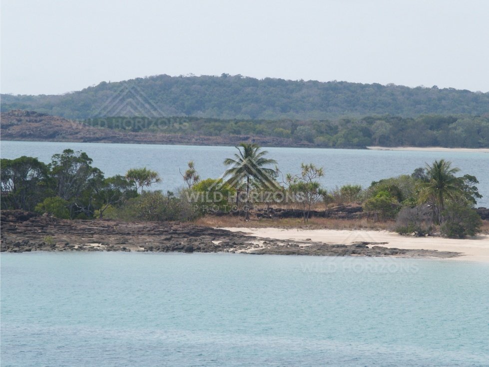 Tropical shoreline with palms and calm water. Cape York, Queensland, Australia.