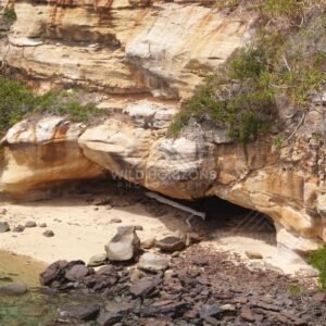 Narau Beach sandstone cliff and small cave. Narau Beach, Queensland, Australia.
