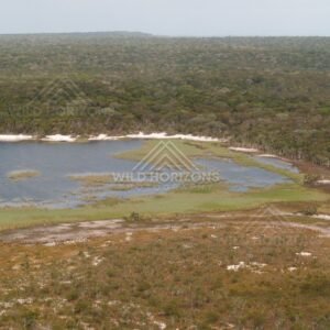 Inland lagoon behind Narau Beach with woodland. Narau Beach, Queensland, Australia.