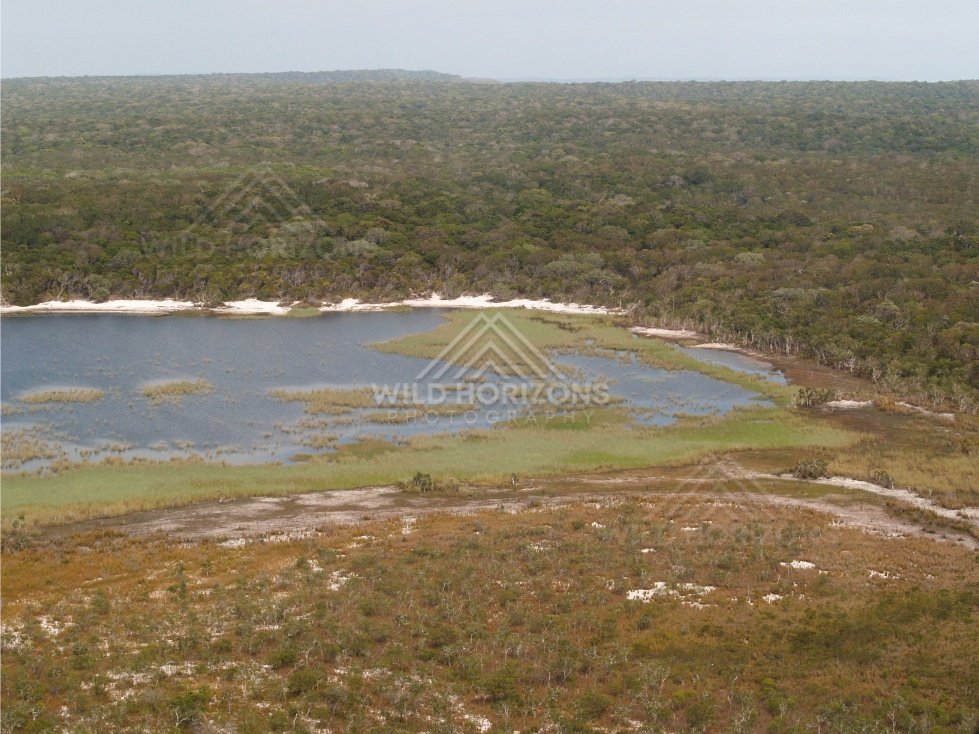 Inland lagoon behind Narau Beach with woodland. Narau Beach, Queensland, Australia.
