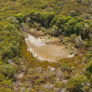 Small waterhole within dry bushland clearing. Narau Beach, Queensland, Australia.