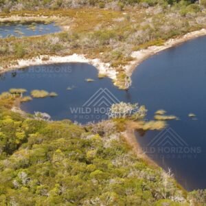 Dark freshwater pool with paperbarks. Narau Beach, Queensland, Australia.