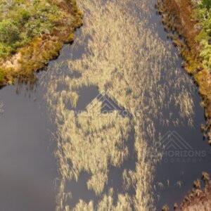 Narrow creek channel with aquatic plants. Narau Beach, Queensland, Australia.