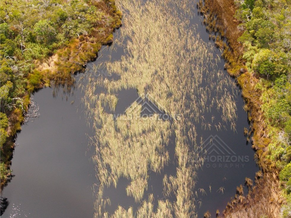 Narrow creek channel with aquatic plants. Narau Beach, Queensland, Australia.